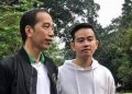 Relawan Dorong Prabowo–Gibran Dua Periode, Partai Ingatkan Fokus Kerja Kabinet