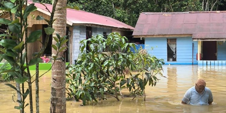Banjir Terparah 26 Tahun di Mentawir, Ketidakpedulian Otorita IKN terhadap Lingkungan dan Warga Disorot