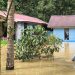 Banjir Terparah 26 Tahun di Mentawir, Ketidakpedulian Otorita IKN terhadap Lingkungan dan Warga Disorot