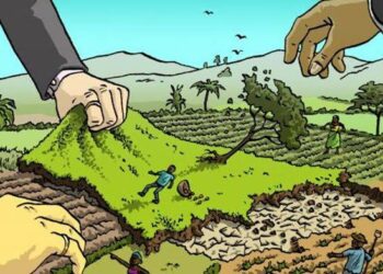 PT Sukses Tani Nusasubur Disorot, Dugaan Legalitas HGU hingga Konflik Lahan Diminta Diusut