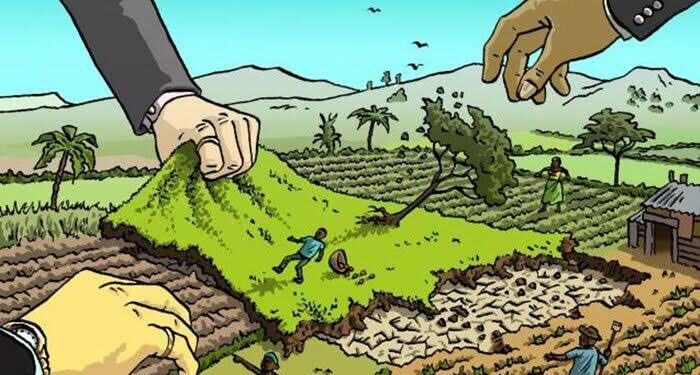 PT Sukses Tani Nusasubur Disorot, Dugaan Legalitas HGU hingga Konflik Lahan Diminta Diusut